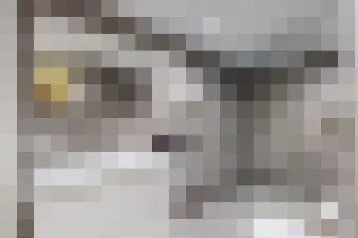 Molenstraat 36 Fijnaart thumbnail 6