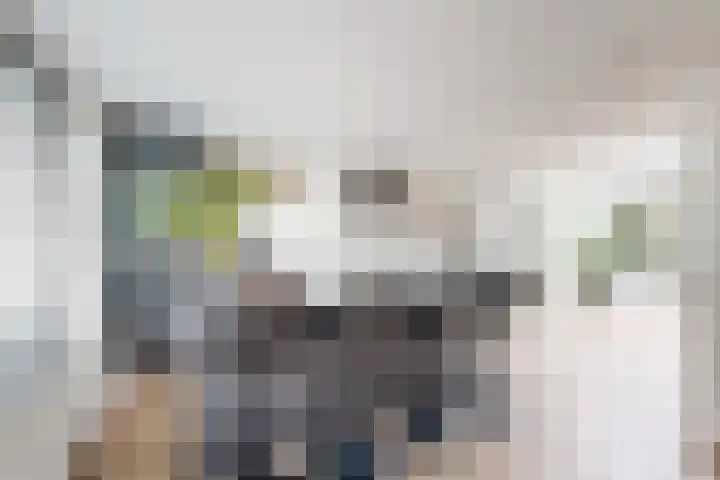 Molenstraat 36 Fijnaart thumbnail 8