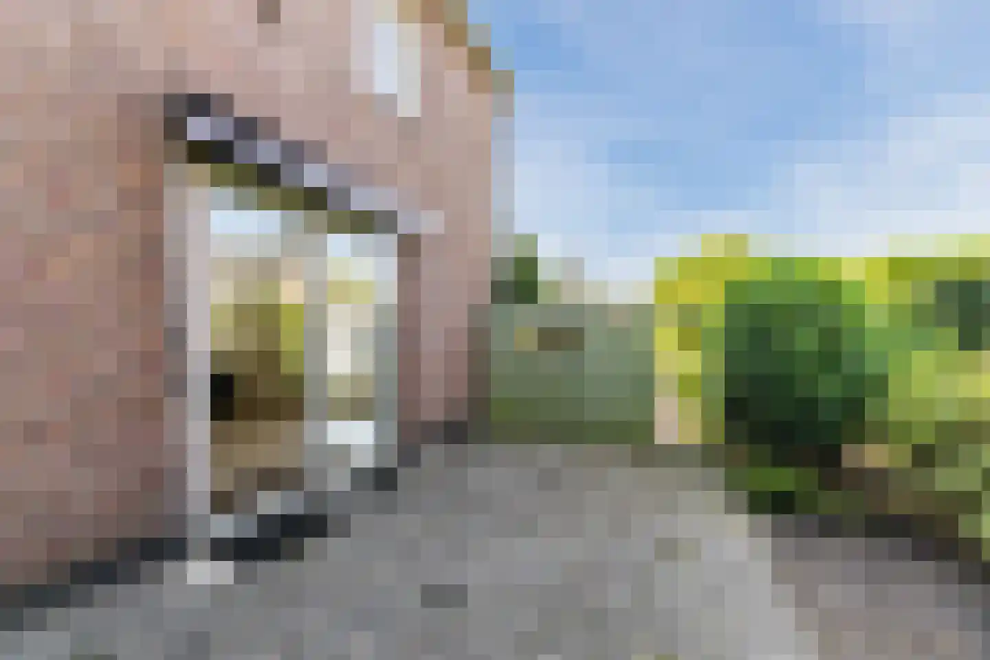 Molenstraat 36 Gilze thumbnail 22