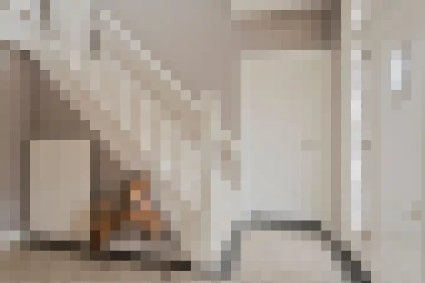Molenstraat 36 Haaksbergen thumbnail 34