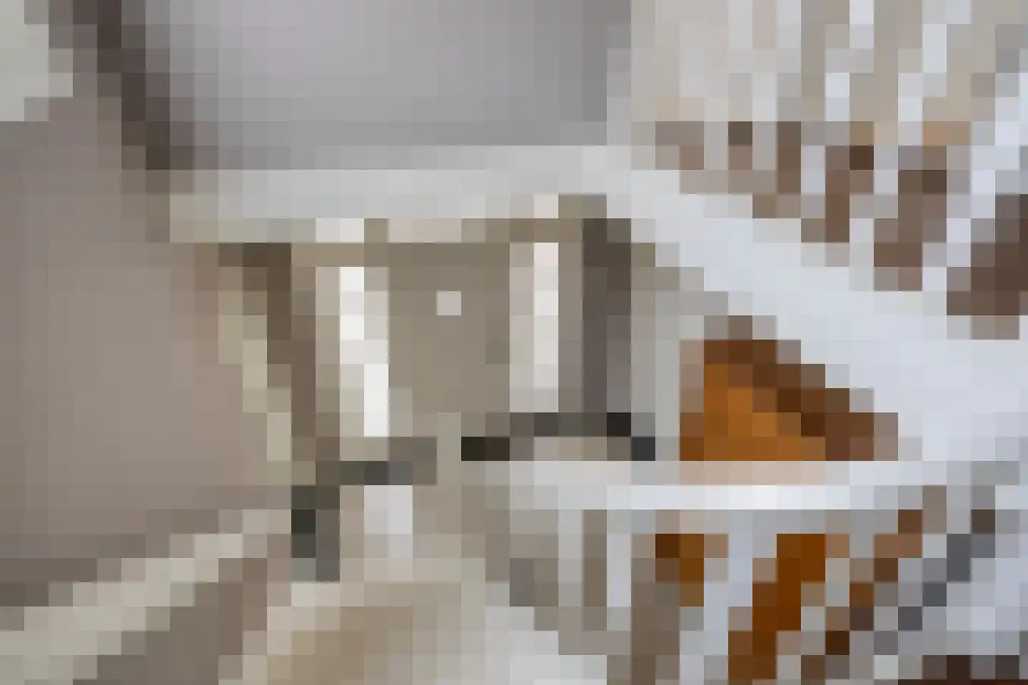 Molenstraat 36 Haaksbergen thumbnail 37