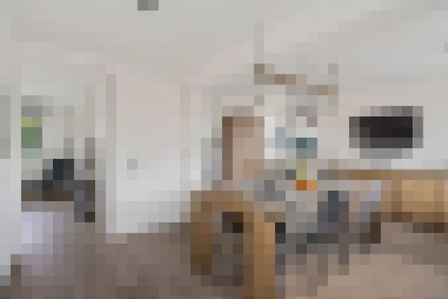 Molenstraat 36 Lith thumbnail 12