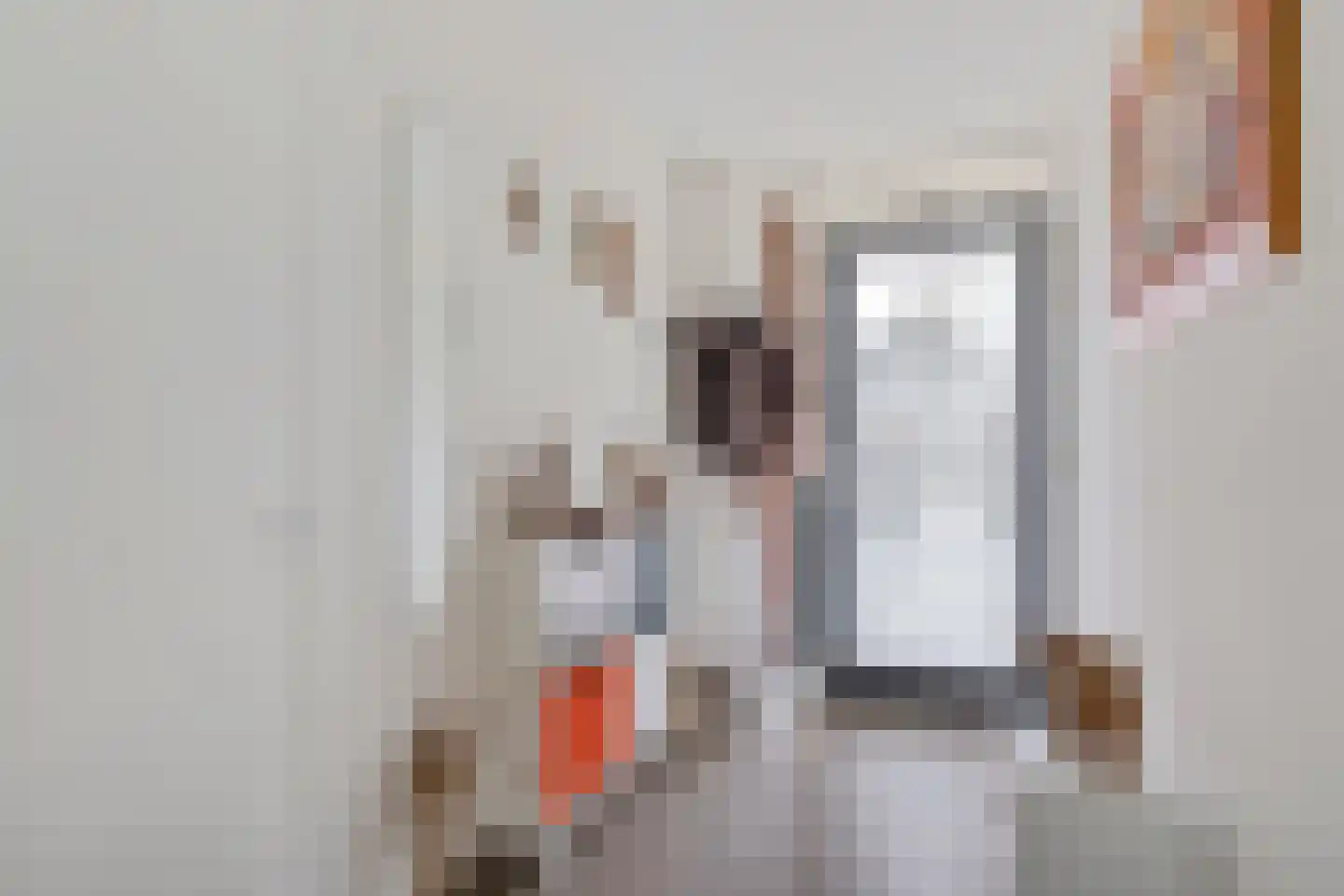 Molenstraat 36 Lith thumbnail 17