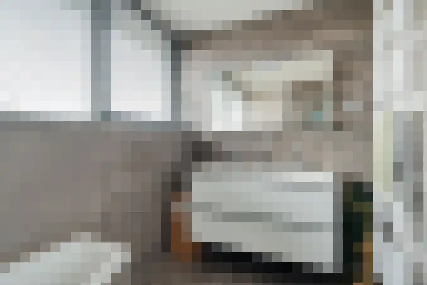 Molenstraat 36 Lith thumbnail 19