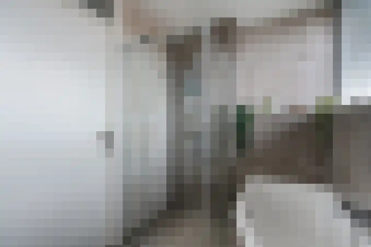 Molenstraat 36 Lith thumbnail 20