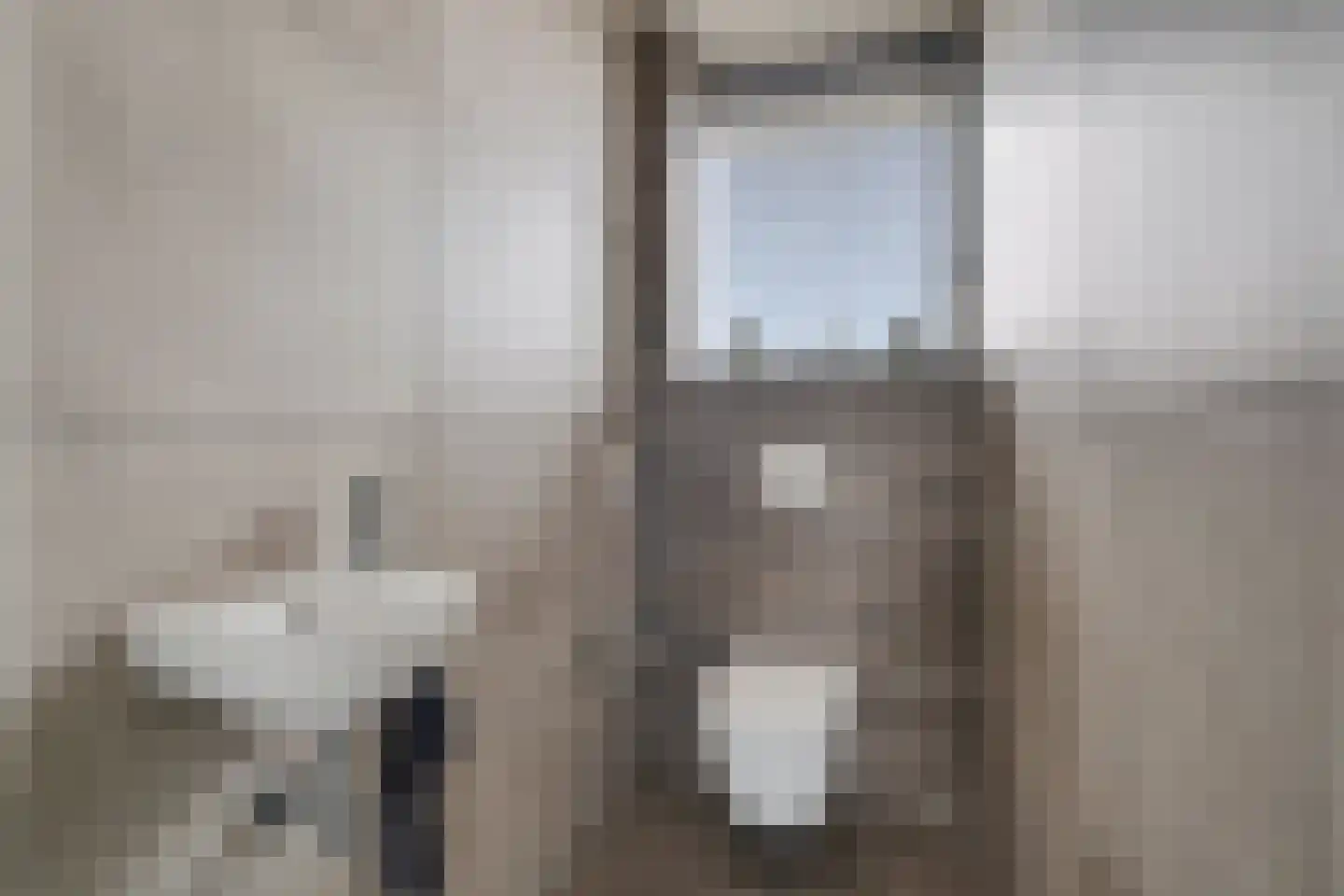 Molenstraat 36 Lith thumbnail 21