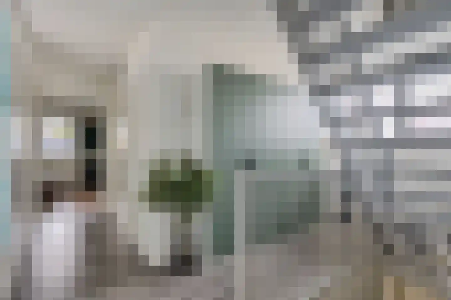 Molenstraat 36 Lith thumbnail 24