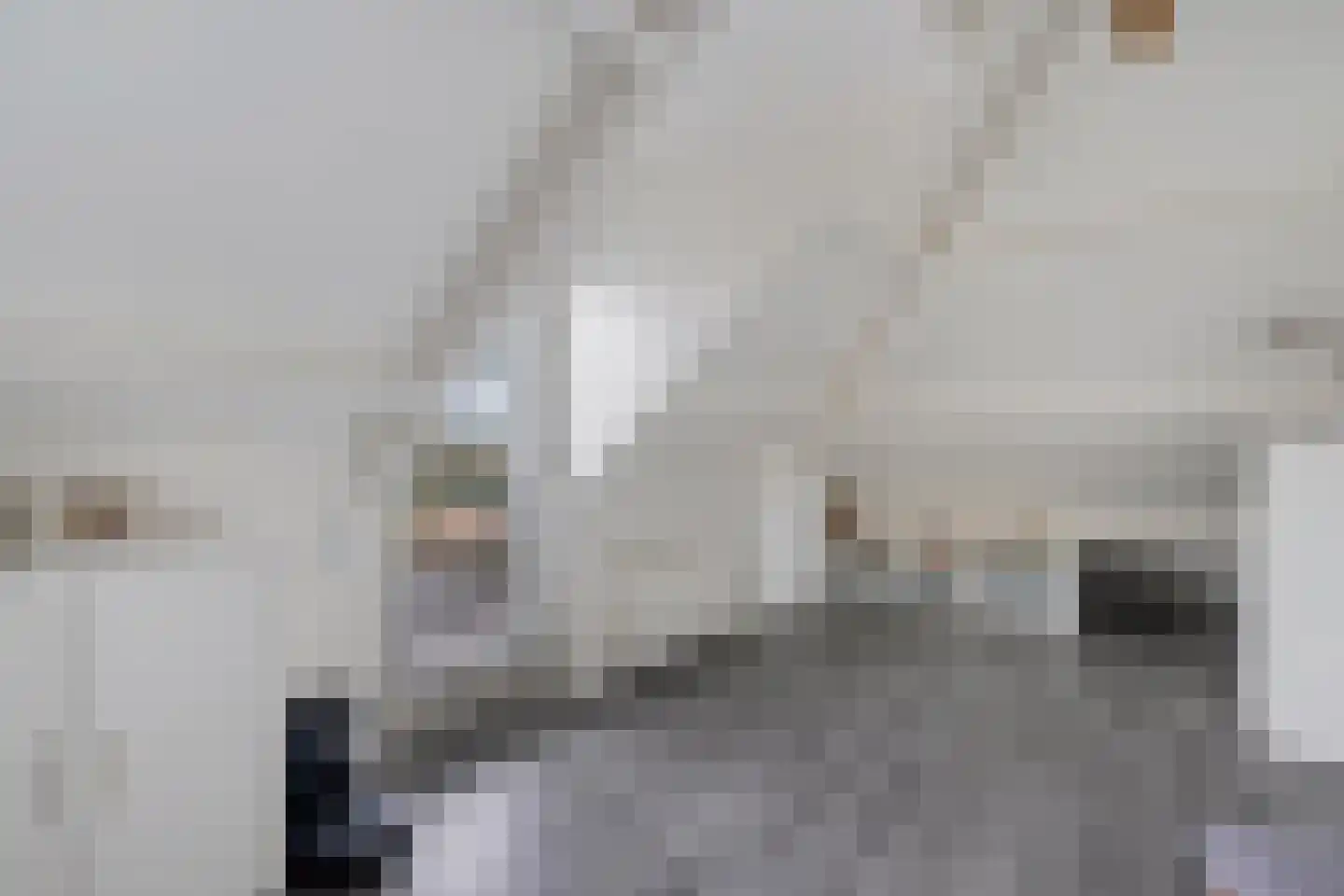 Molenstraat 36 Lith thumbnail 27
