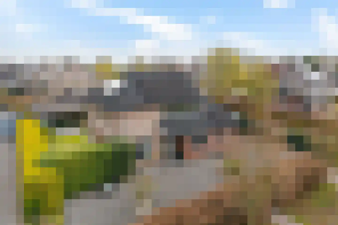 Molenstraat 36 Lith thumbnail 35
