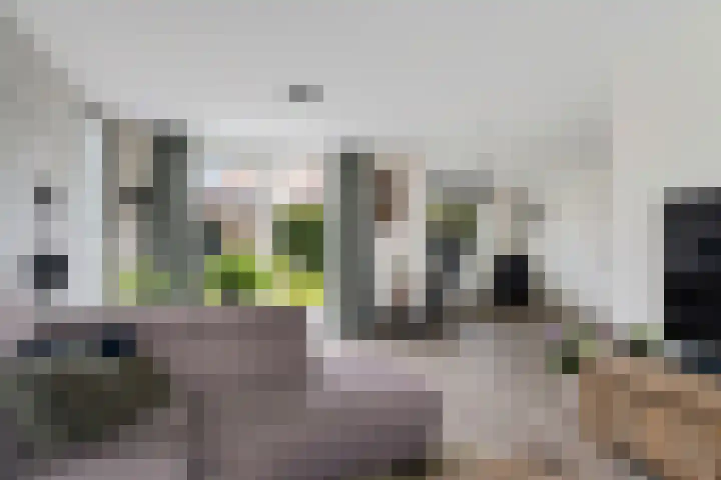 Molenstraat 36 Lith thumbnail 4