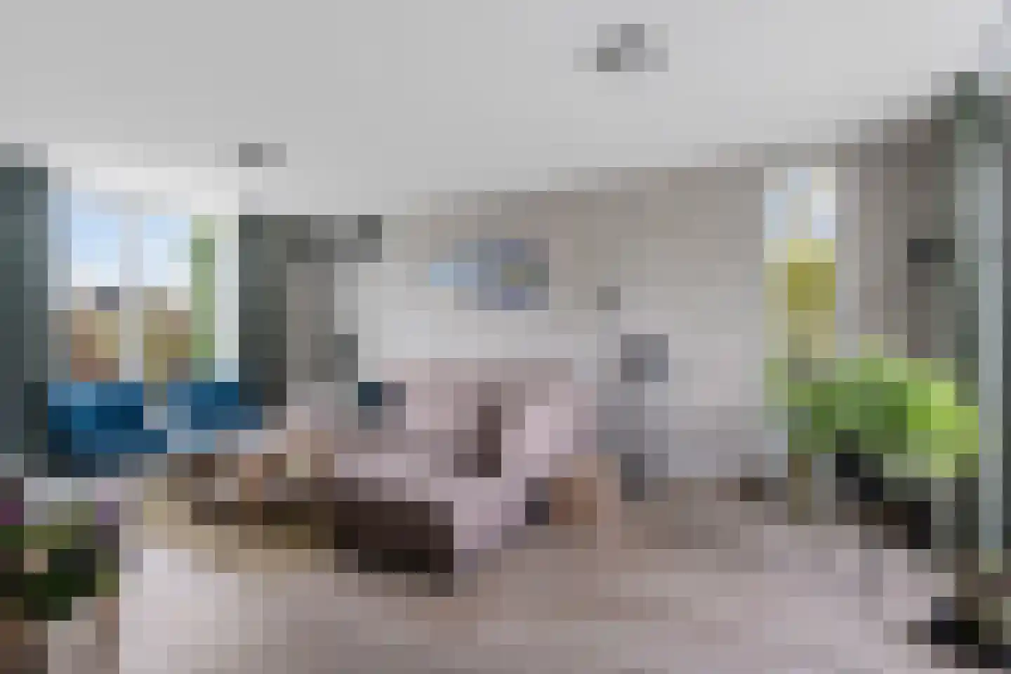 Molenstraat 36 Lith thumbnail 6