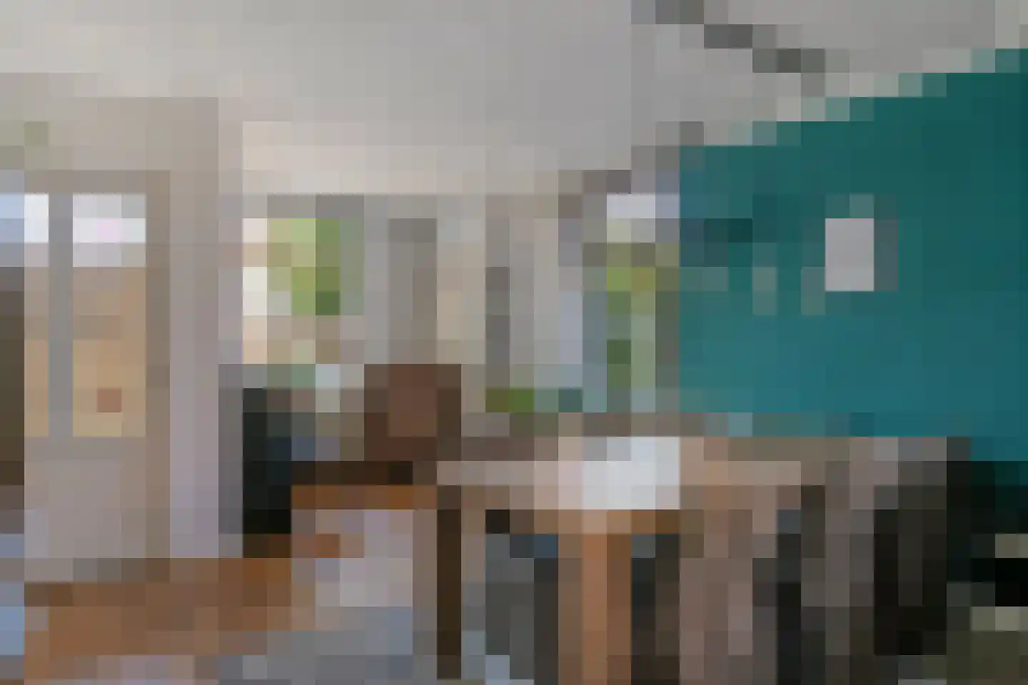 Molenstraat 36 Raamsdonk thumbnail 17