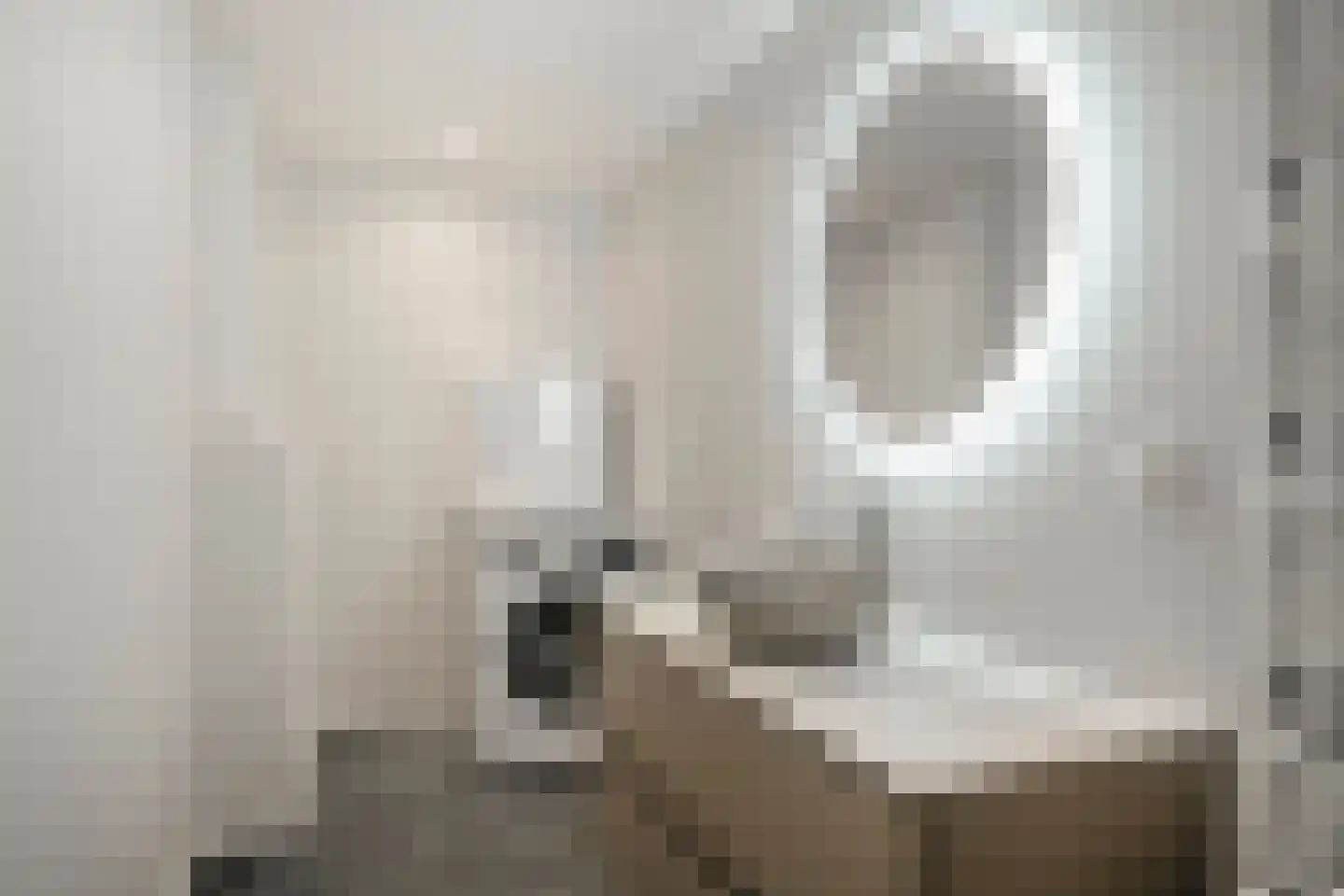 Molenstraat 36 Raamsdonk thumbnail 25