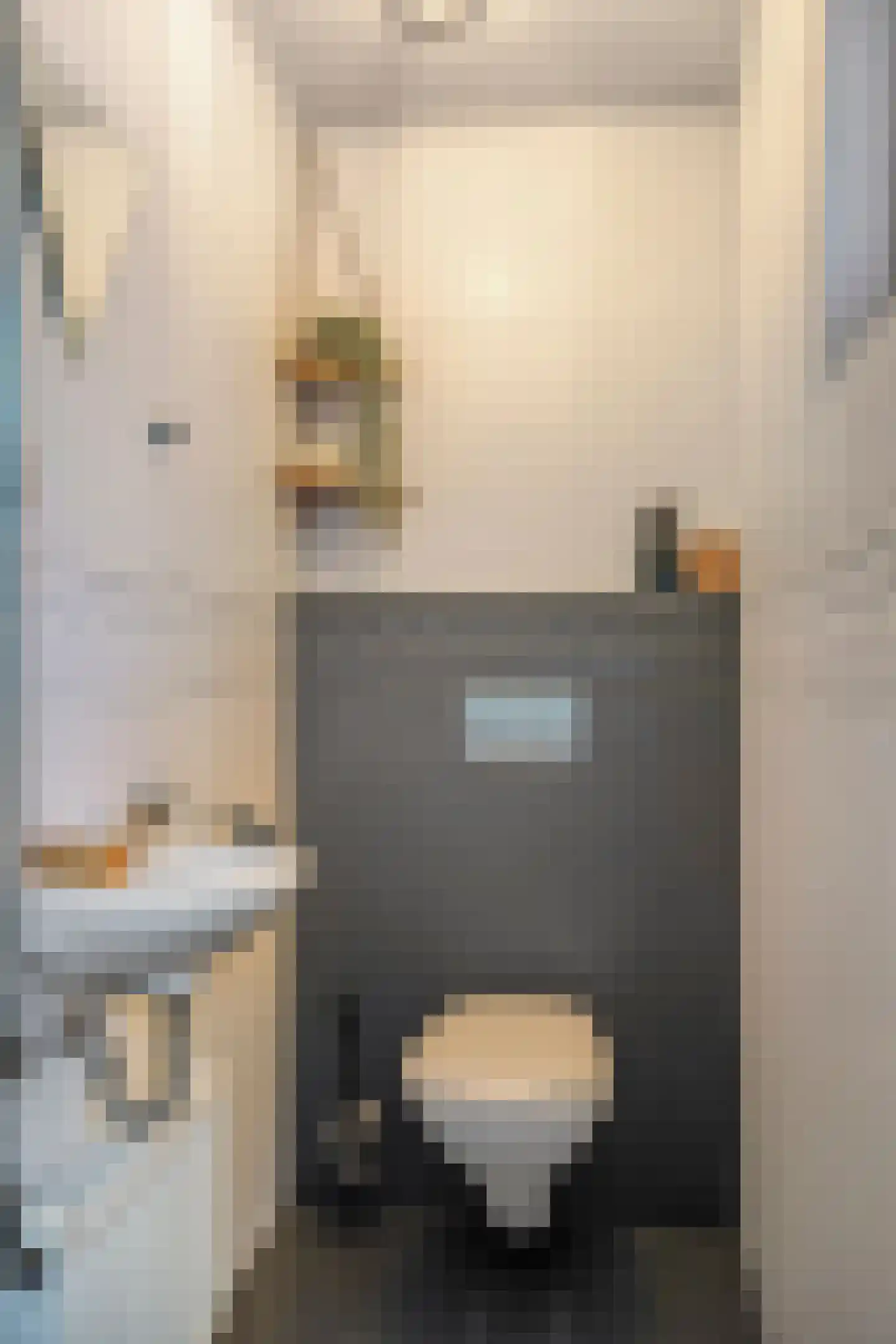 Molenstraat 36 Raamsdonk thumbnail 28