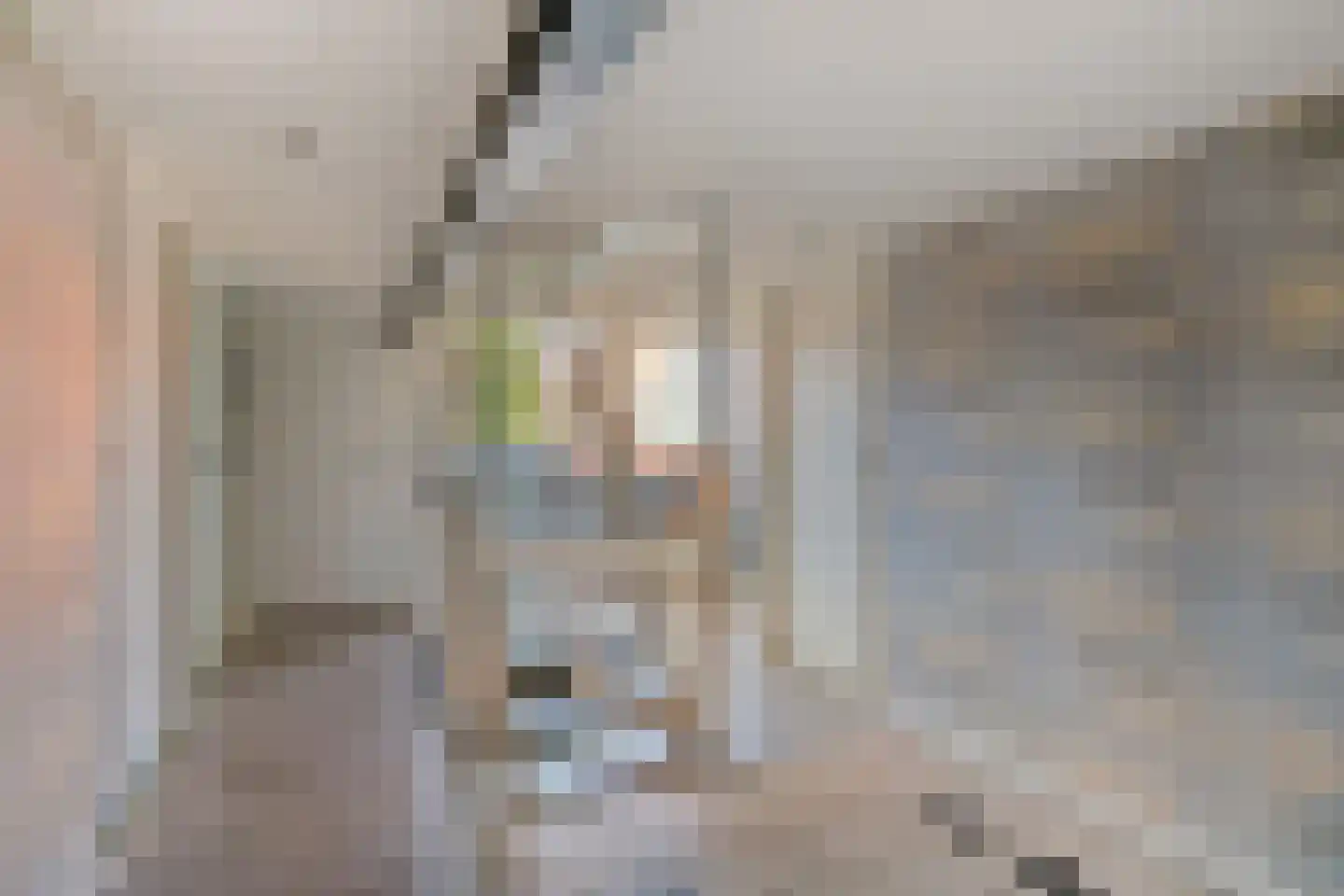 Molenstraat 36 Raamsdonk thumbnail 30