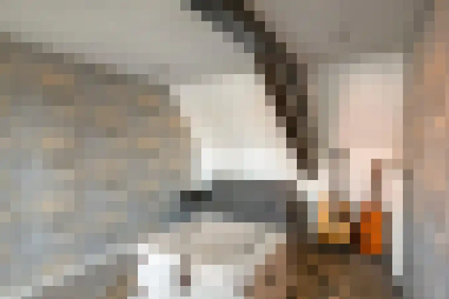Molenstraat 36 Raamsdonk thumbnail 31