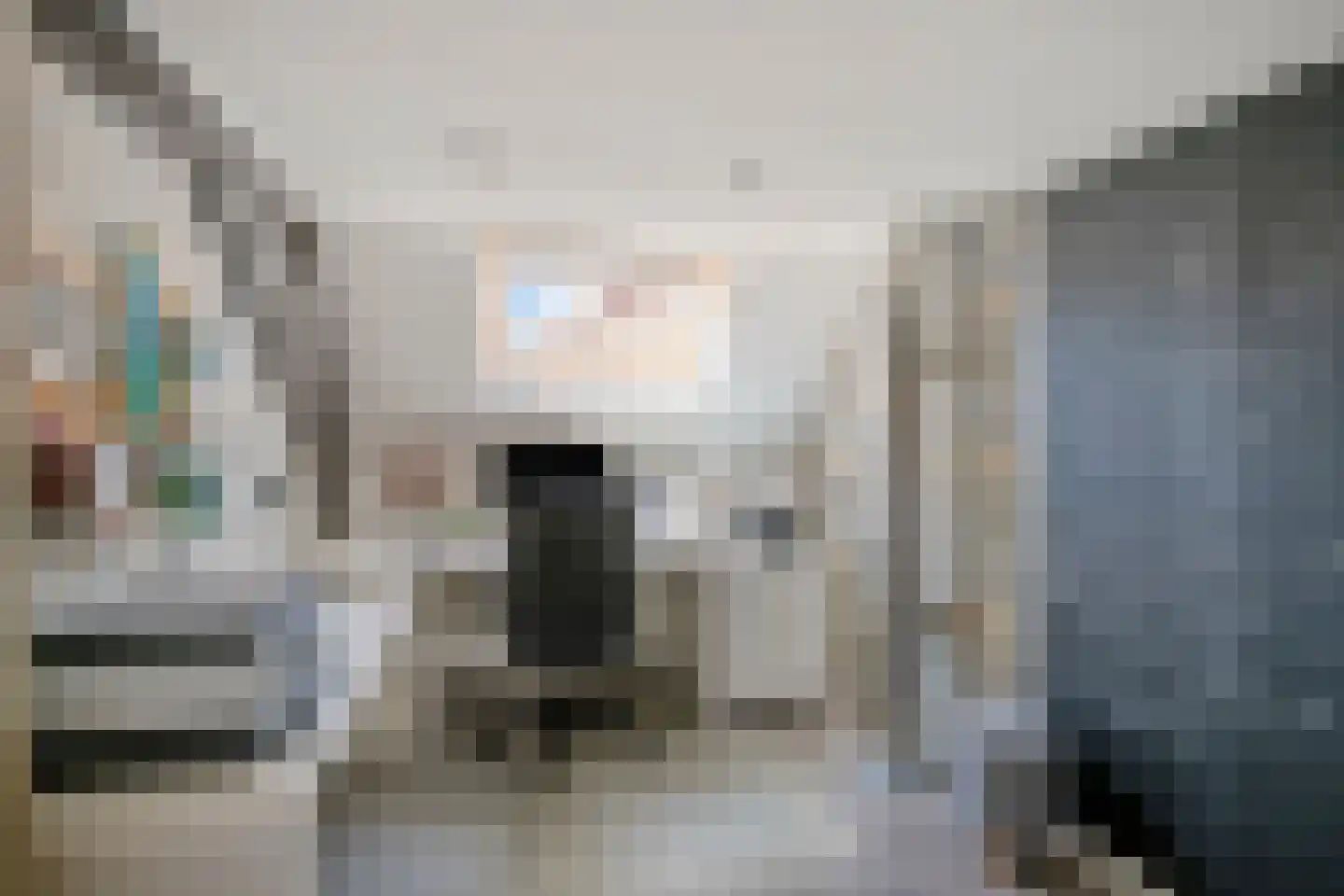 Molenstraat 36 Raamsdonk thumbnail 42