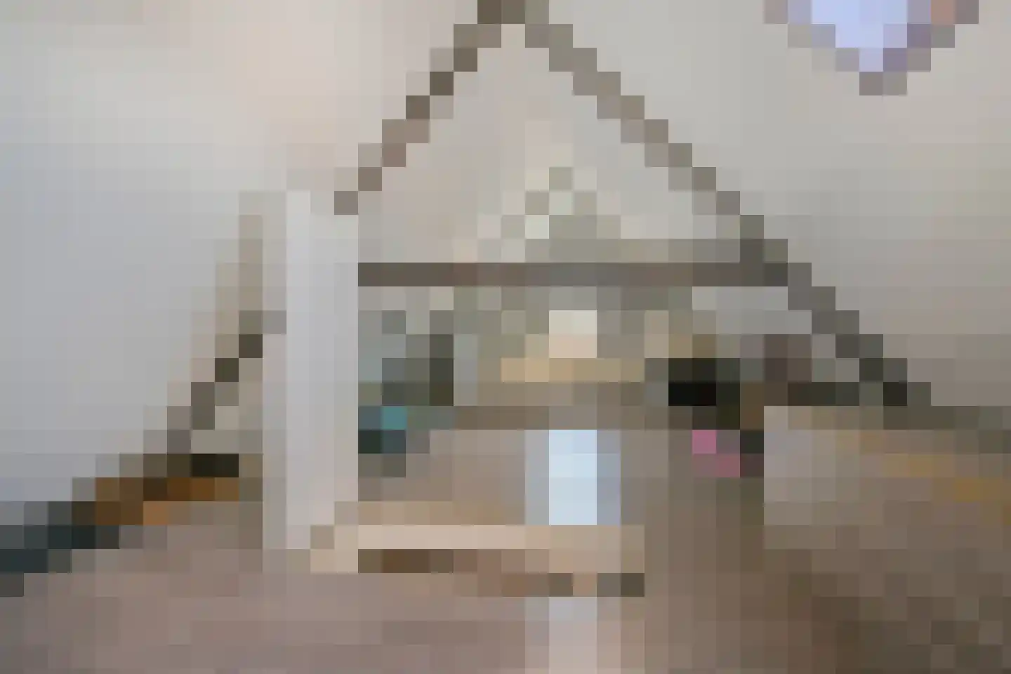 Molenstraat 36 Raamsdonk thumbnail 45