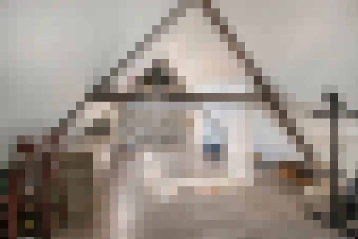 Molenstraat 36 Raamsdonk thumbnail 46