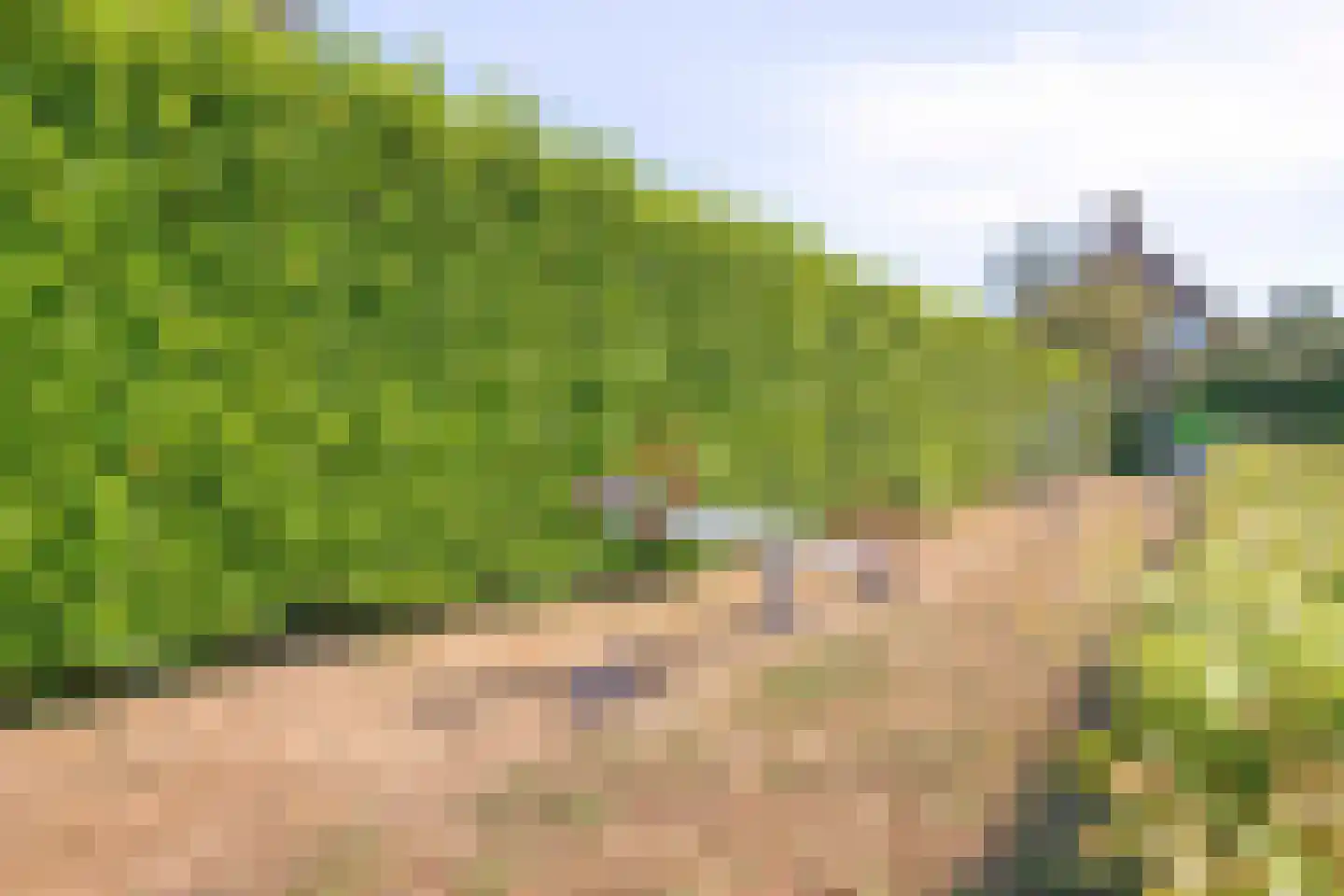 Molenstraat 36 Raamsdonk thumbnail 51