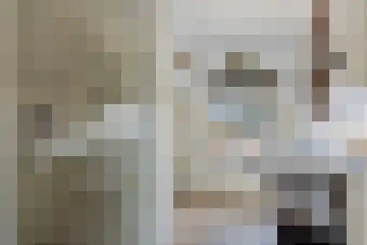 Molenstraat 36 Terheijden thumbnail 18