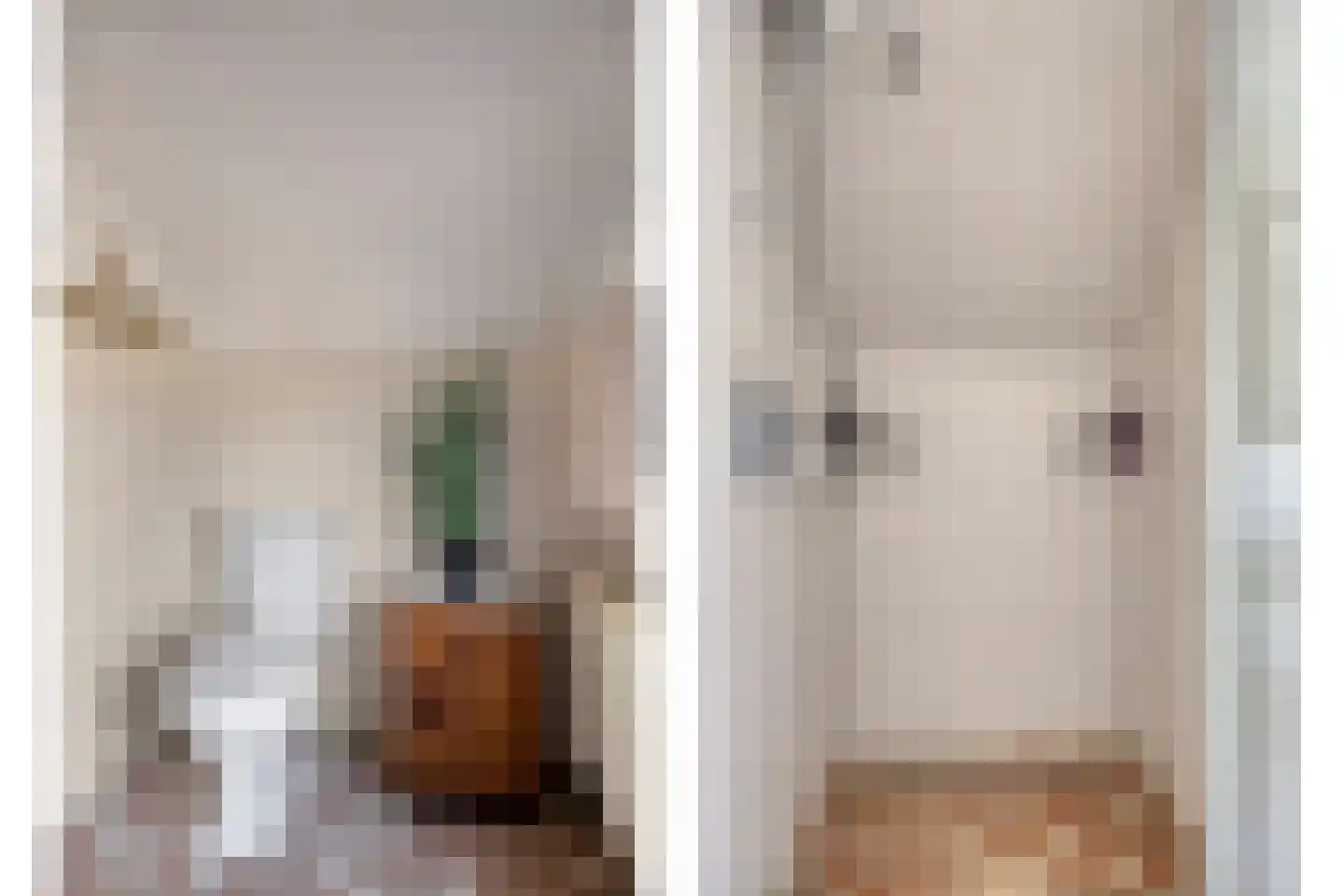 Molenstraat 36 Terheijden thumbnail 19