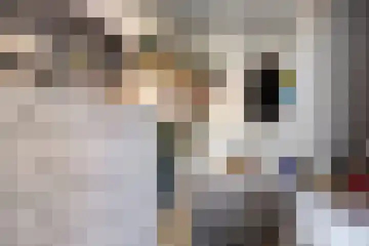 Molenstraat 36 Terheijden thumbnail 23