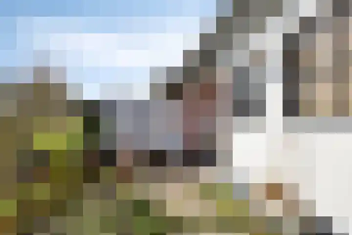 Molenstraat 36 Terheijden thumbnail 31