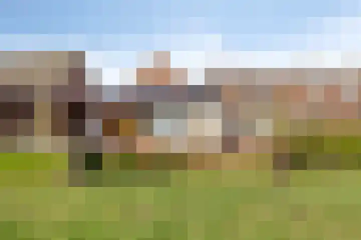 Molenstraat 36 Terheijden thumbnail 34