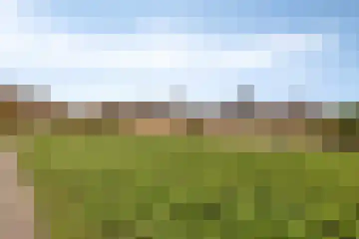 Molenstraat 36 Terheijden thumbnail 37