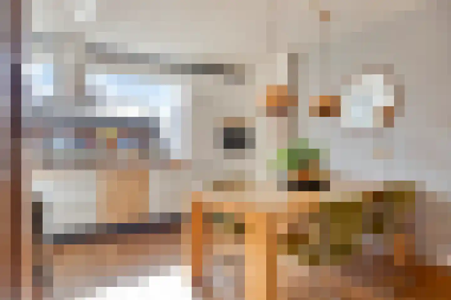 Molenstraat 36 Terheijden thumbnail 9