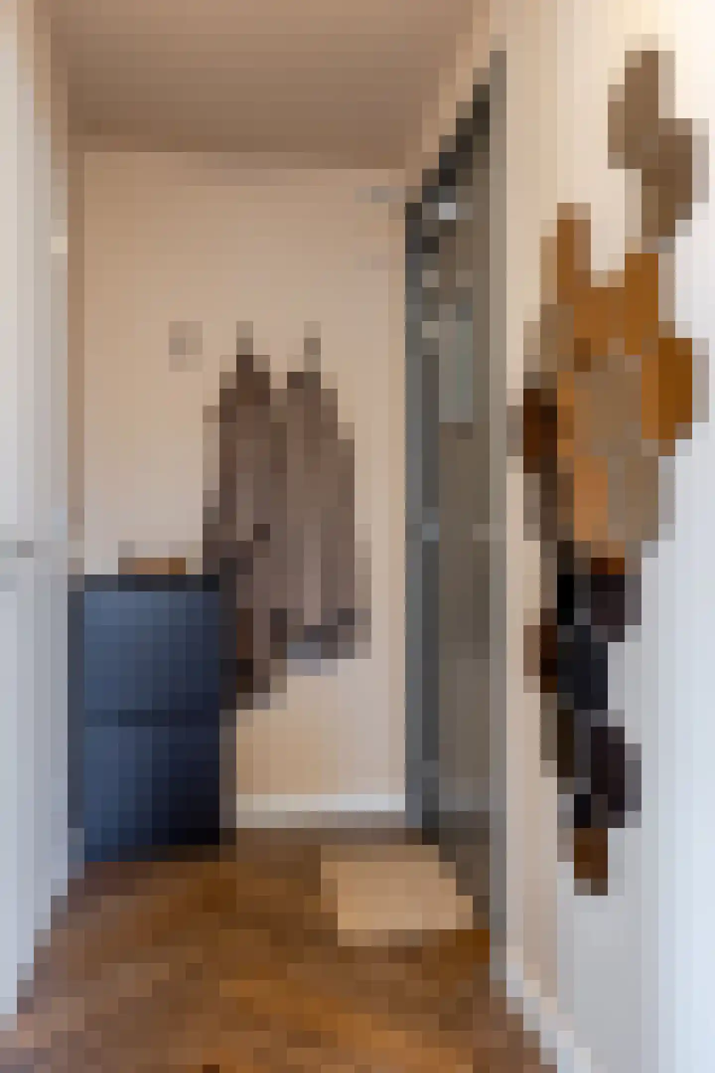 Molenstraat 37 Schoonhoven thumbnail 18