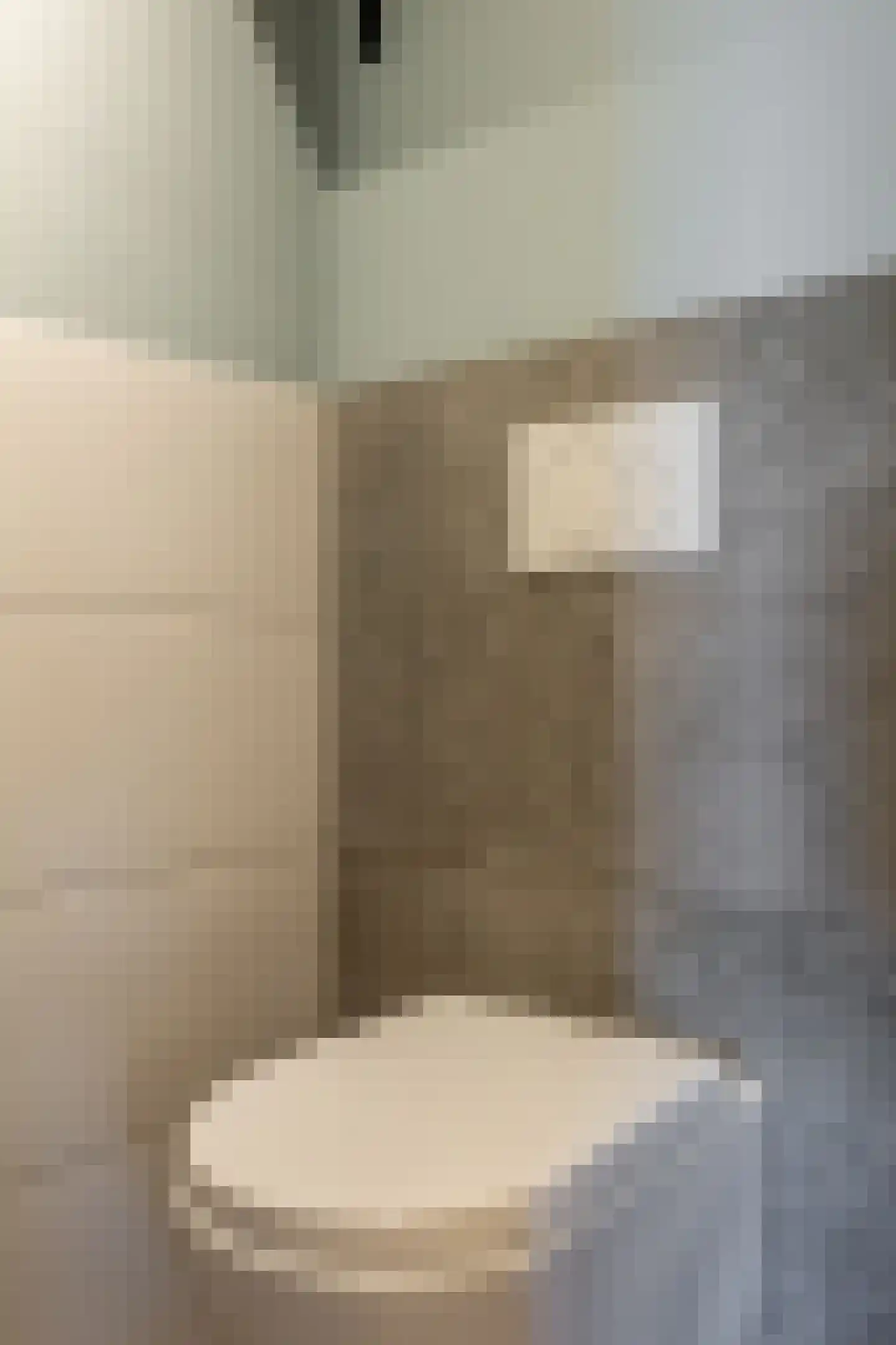 Molenstraat 37 Schoonhoven thumbnail 47