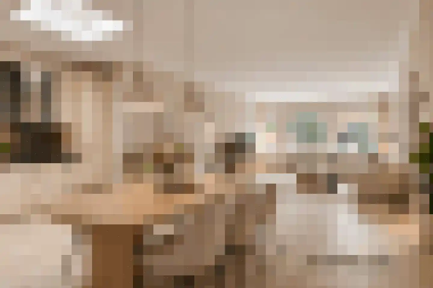Molenstraat 38 a Cuijk thumbnail 7