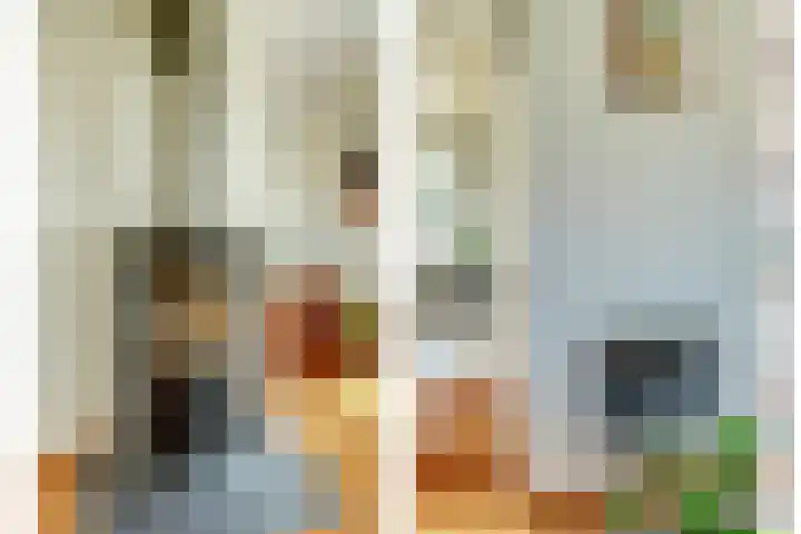 Molenstraat 38 Den Oever thumbnail 11
