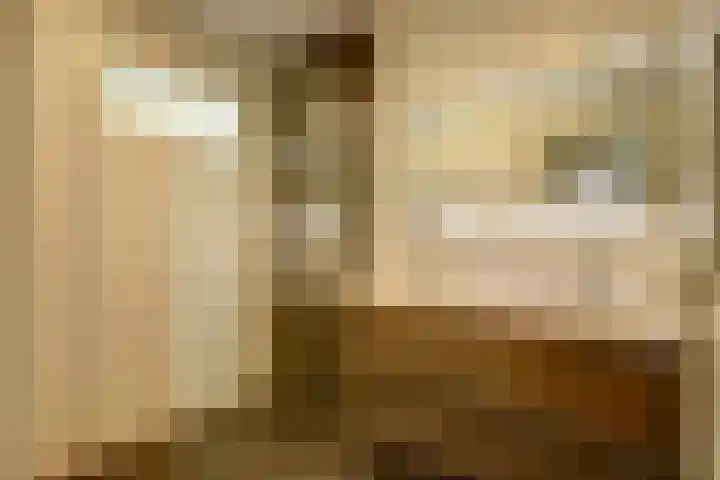 Molenstraat 38 Den Oever thumbnail 22