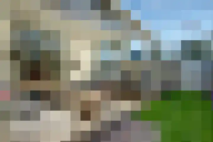 Molenstraat 38 Den Oever thumbnail 41