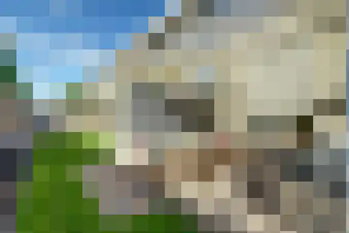 Molenstraat 38 Den Oever thumbnail 44
