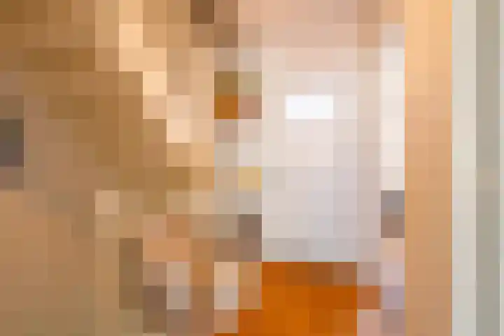 Molenstraat 38 Roosteren thumbnail 11