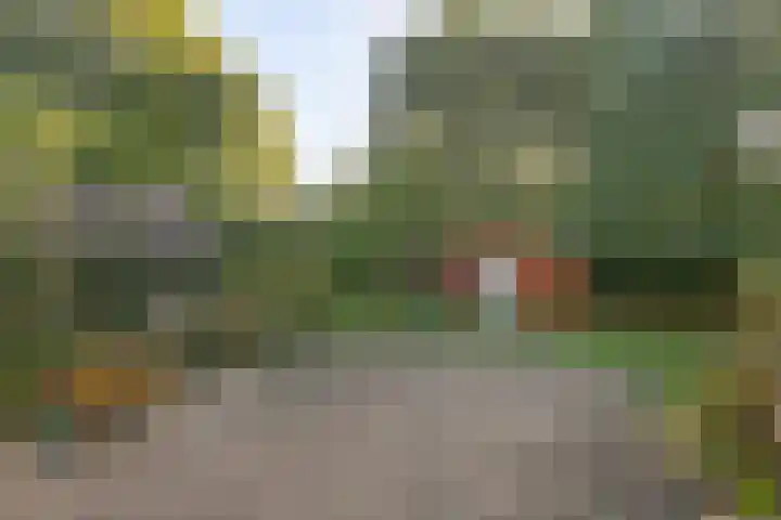 Molenstraat 38 Roosteren thumbnail 20