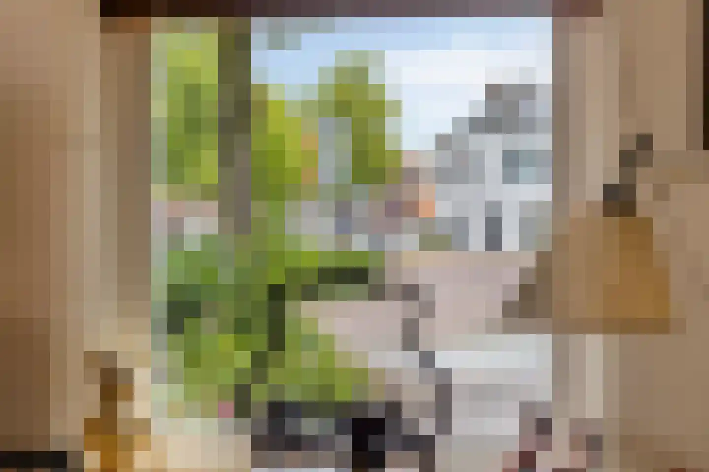 Molenstraat 39 Kampen thumbnail 28