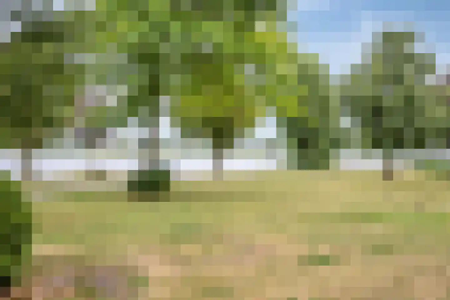 Molenstraat 39 Kampen thumbnail 46