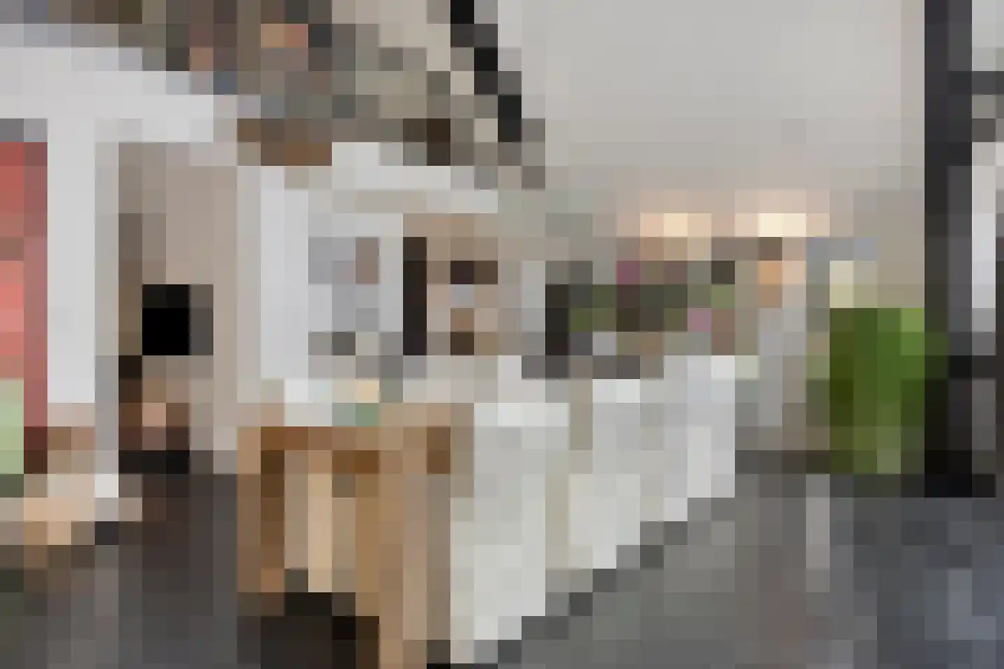 Molenstraat 39 Waalre thumbnail 11