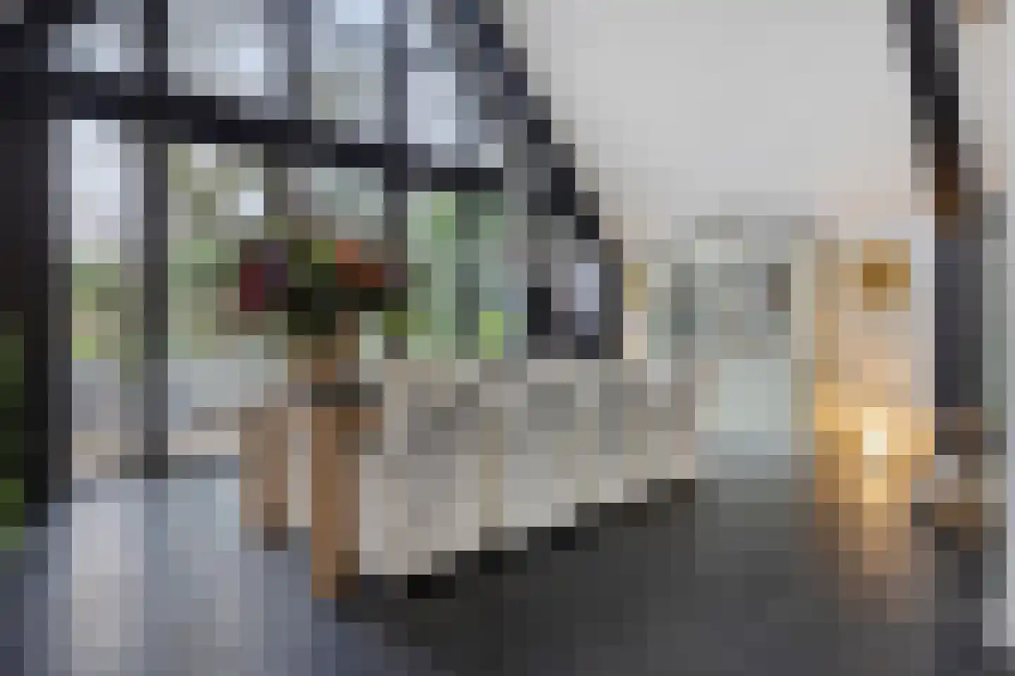 Molenstraat 39 Waalre thumbnail 13