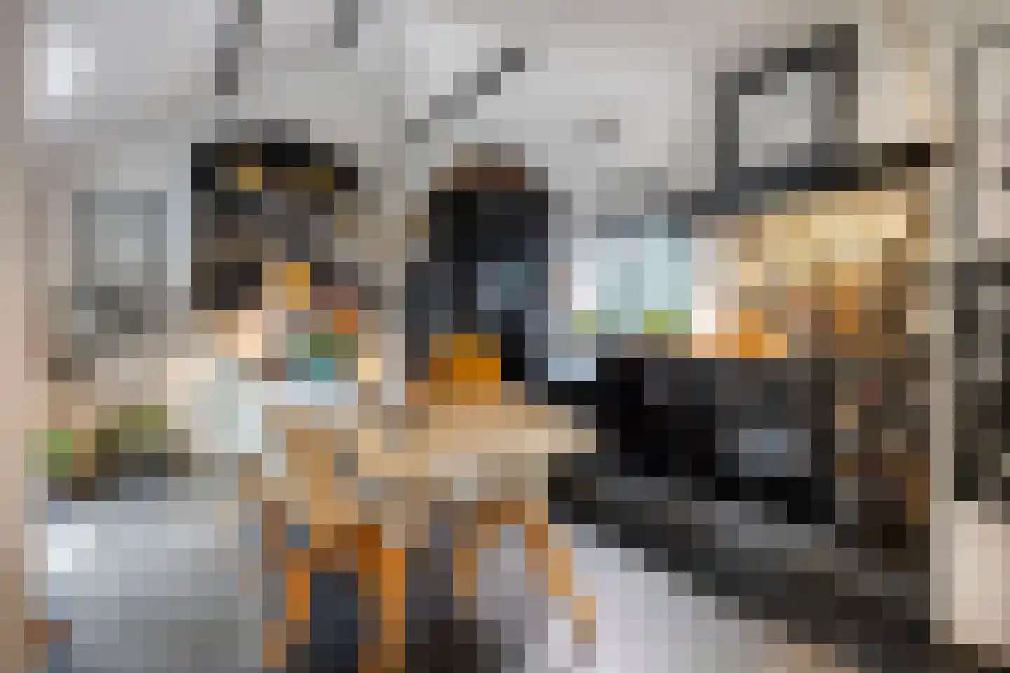 Molenstraat 39 Waalre thumbnail 14