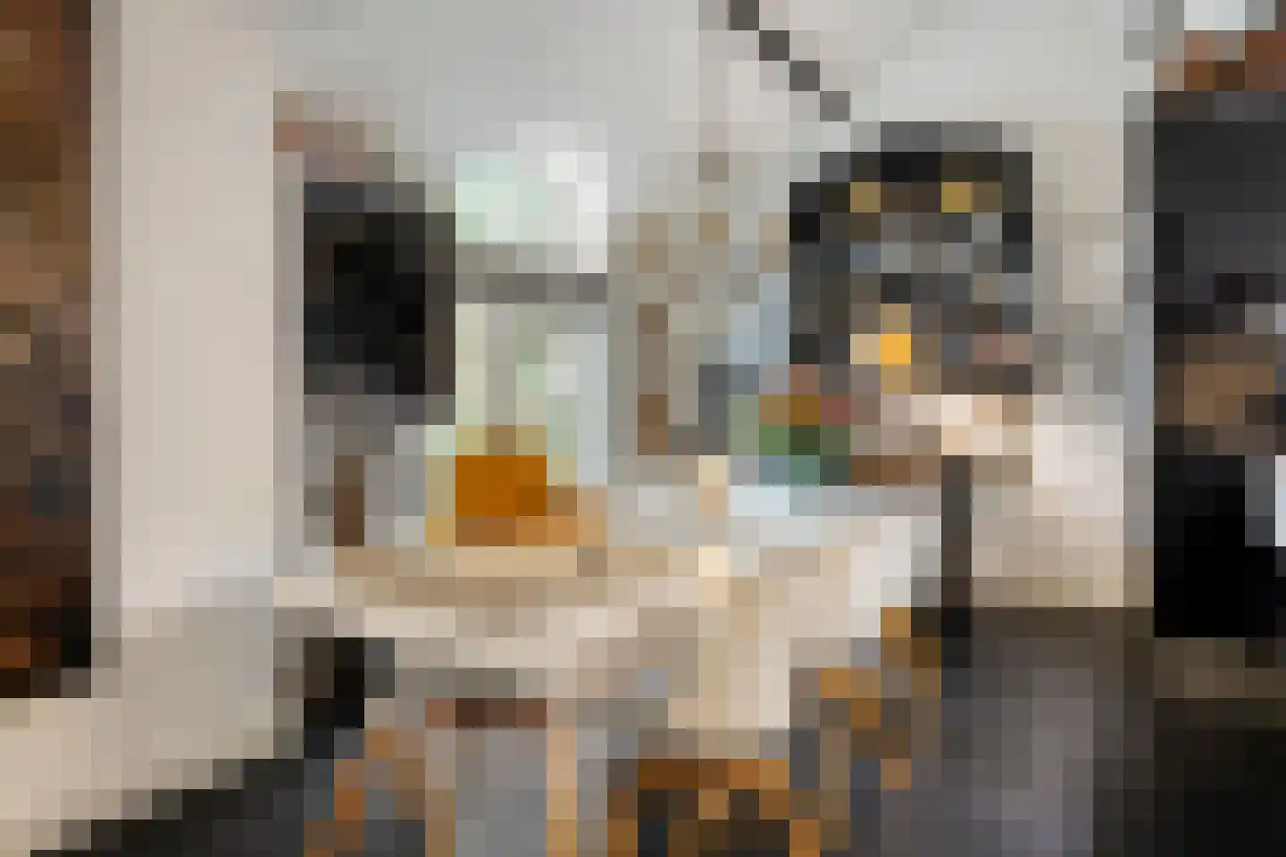 Molenstraat 39 Waalre thumbnail 15