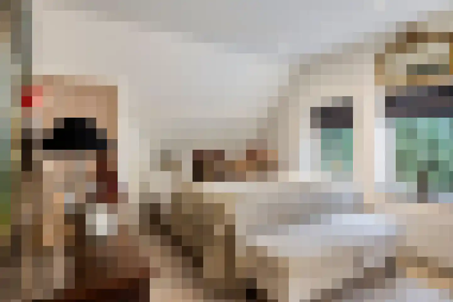 Molenstraat 39 Waalre thumbnail 22