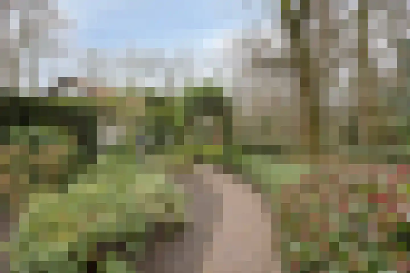 Molenstraat 39 Waalre thumbnail 26