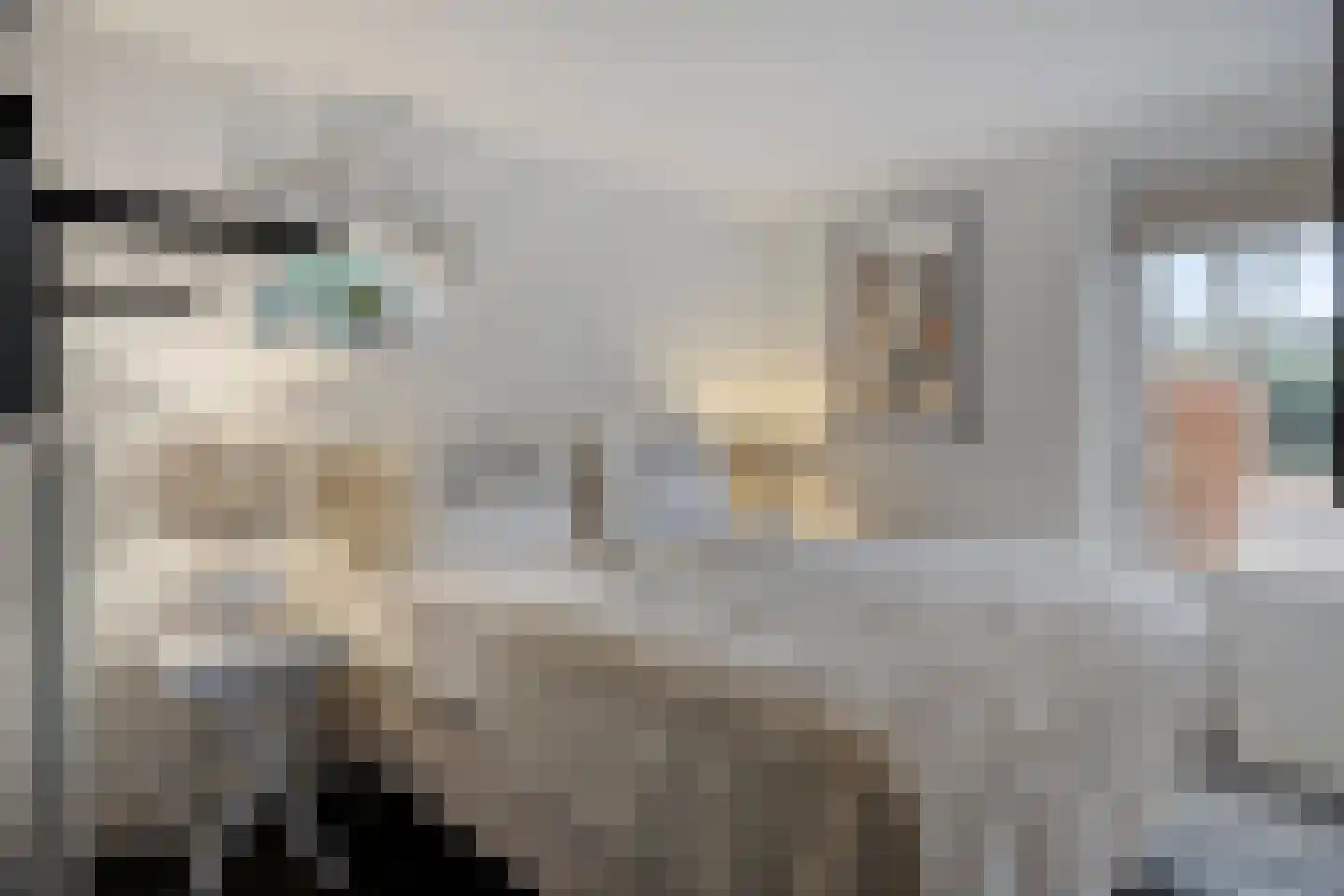 Molenstraat 39 Waalre thumbnail 28