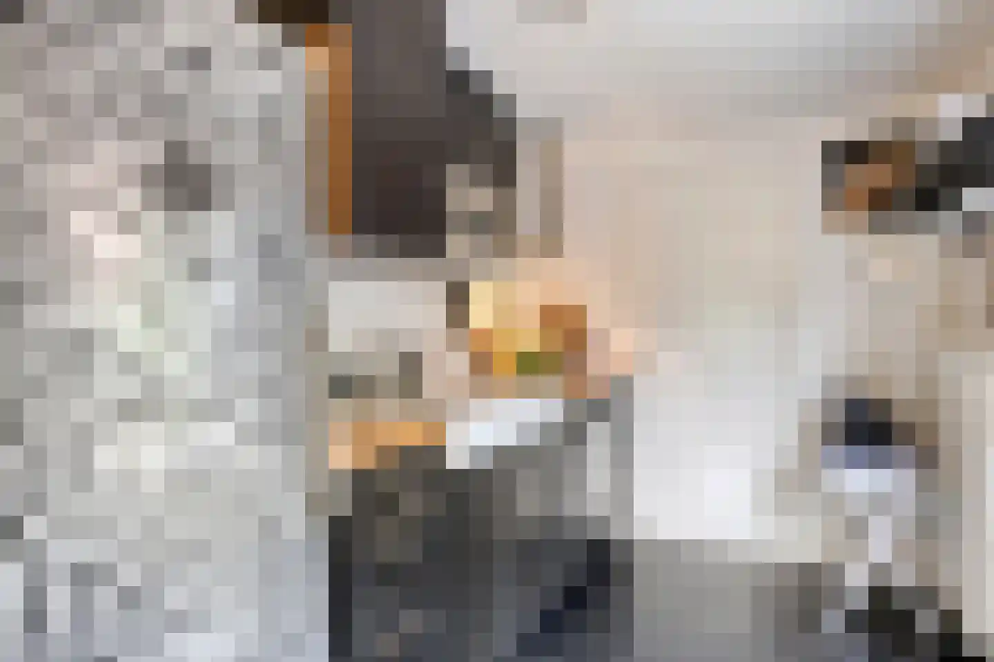 Molenstraat 39 Waalre thumbnail 30